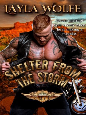 cover image of Shelter From the Storm